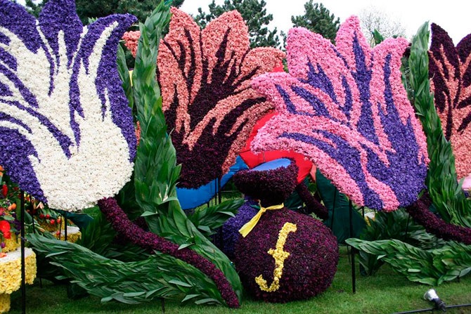 Парад цветов в Нидерландах