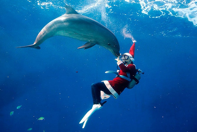 Скоро Новый год