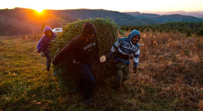 Скоро Новый год
