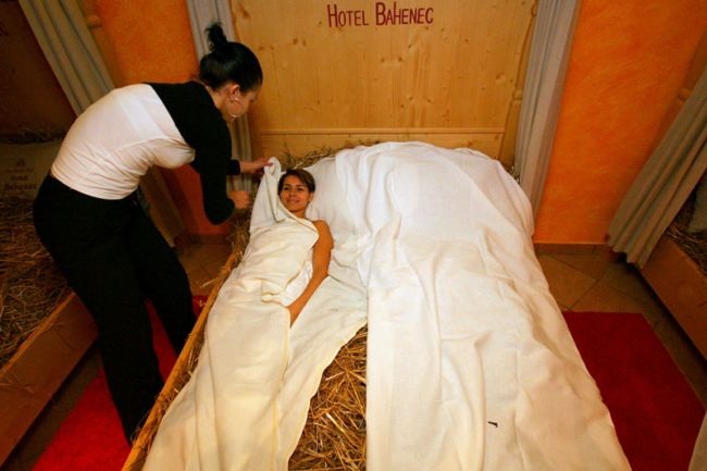 Пивной рай (8 фото)