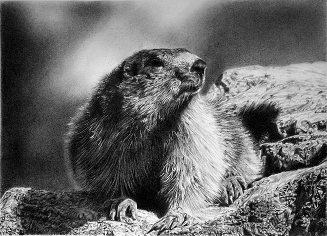 Черно-белый фотореализм Франко Клуна