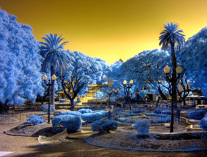 Другая реальность инфракрасной фотографии