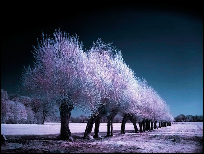 Другая реальность инфракрасной фотографии