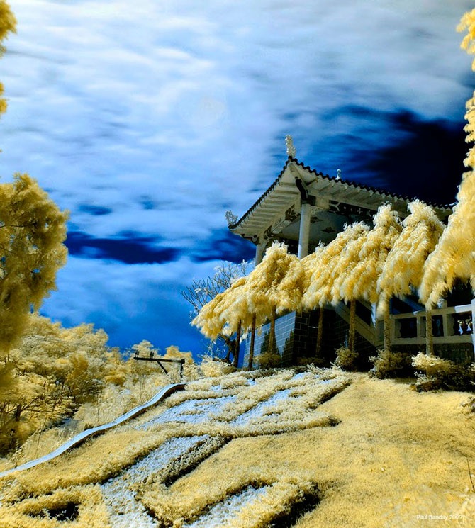 Другая реальность инфракрасной фотографии