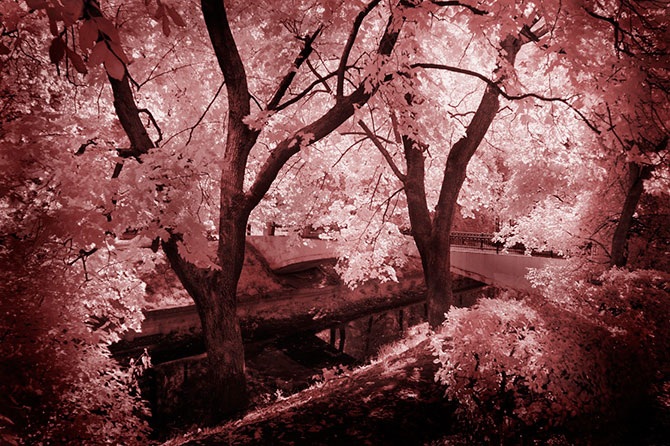 Другая реальность инфракрасной фотографии