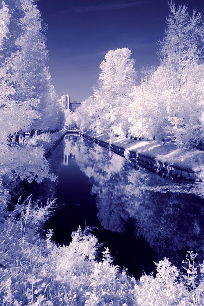 Другая реальность инфракрасной фотографии