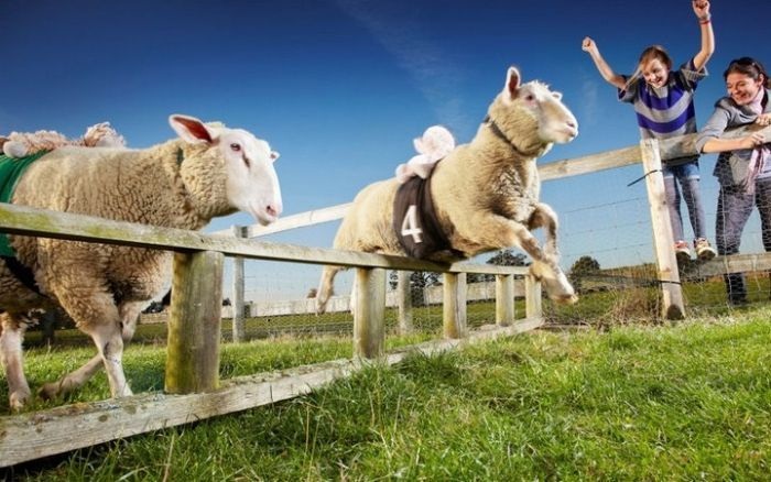 Рекорды Гиннеса 2013 (13 фото)