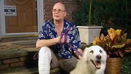 Самые трогательные истории о собачьей преданности (10 фото)