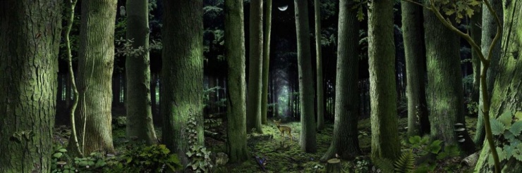 Цифровые дети Рууда Ван Эмпеля