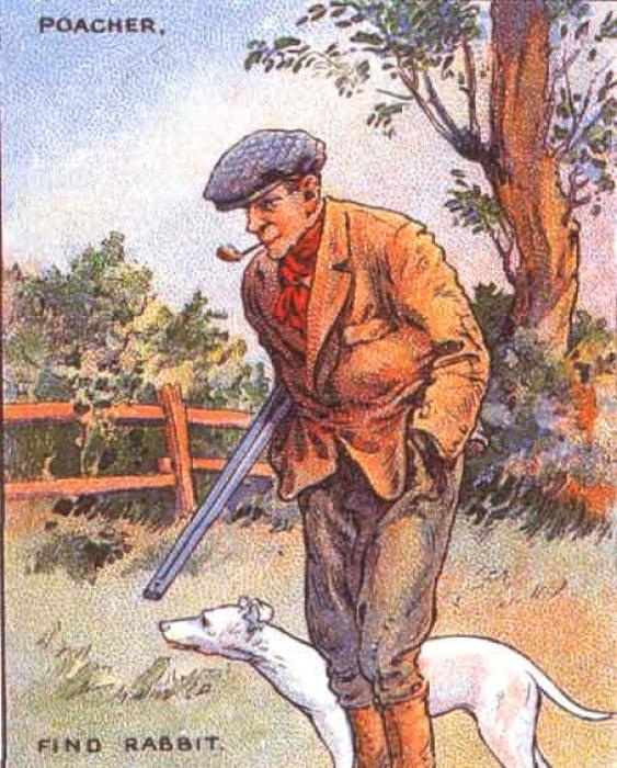 Картинки для проверки на внимательность