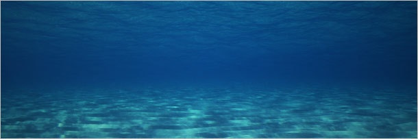 11 жутких чудовищ, которых без микроскопа не разглядеть