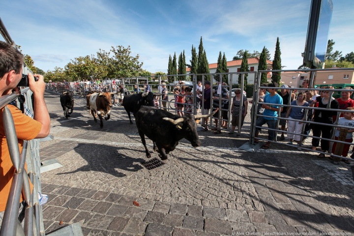 Путешествие по стране Басков