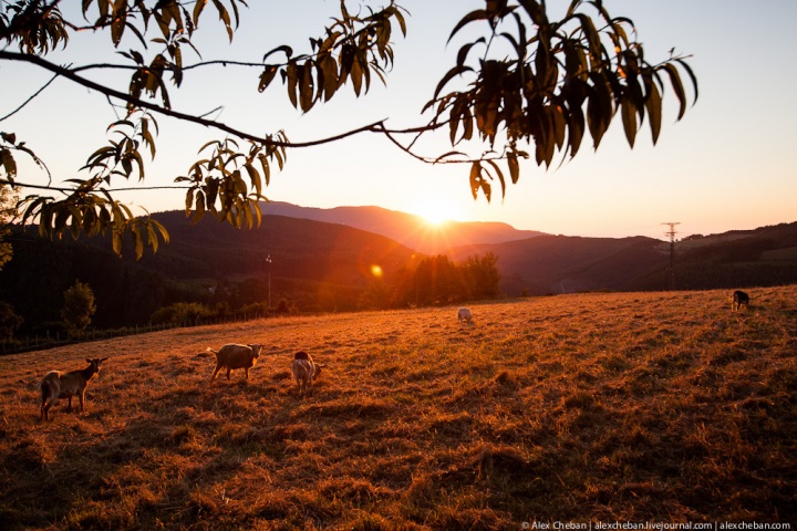 Путешествие по стране Басков