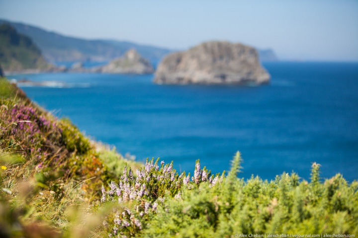 Путешествие по стране Басков