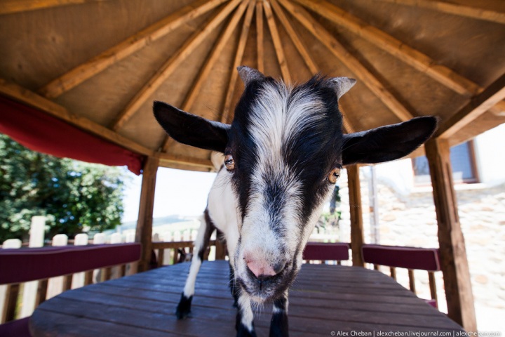 Путешествие по стране Басков