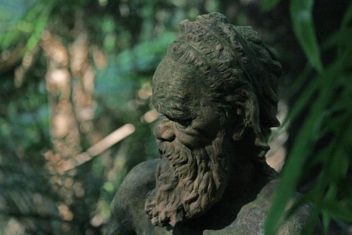 Необычный заповедник Уильяма Рикеттса (17 фото)