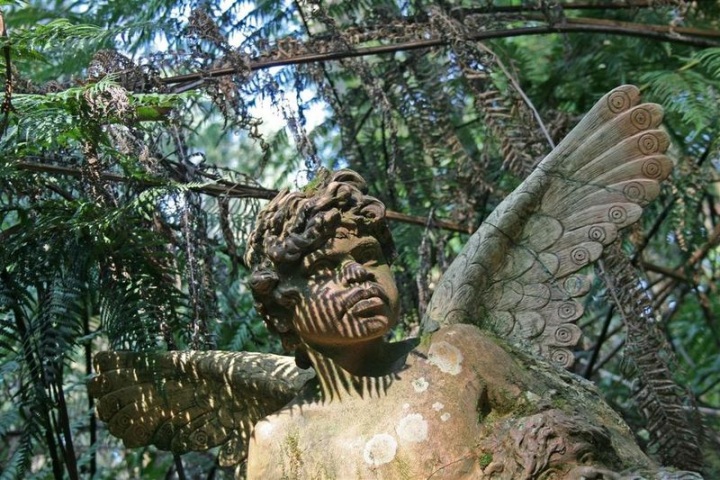 Необычный заповедник Уильяма Рикеттса (17 фото)