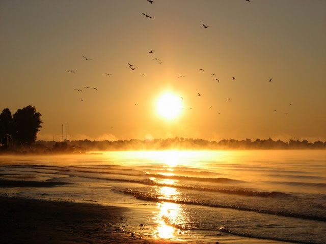 Раскрываем правду предубеждений (7 фото)