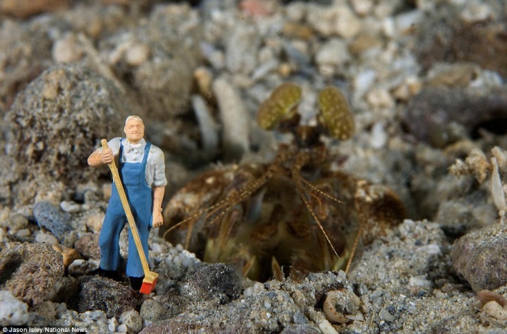 Подводная жизнь игрушек