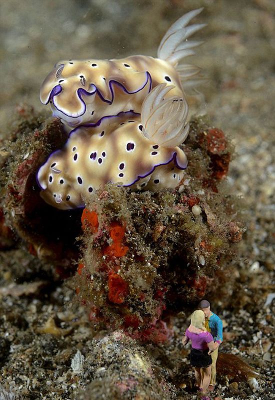 Подводная жизнь игрушек