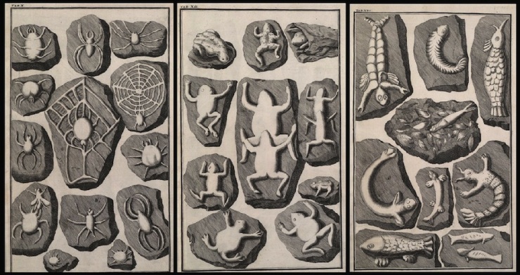 12 самых интересных и забавных мистификаций, устроенных учёными