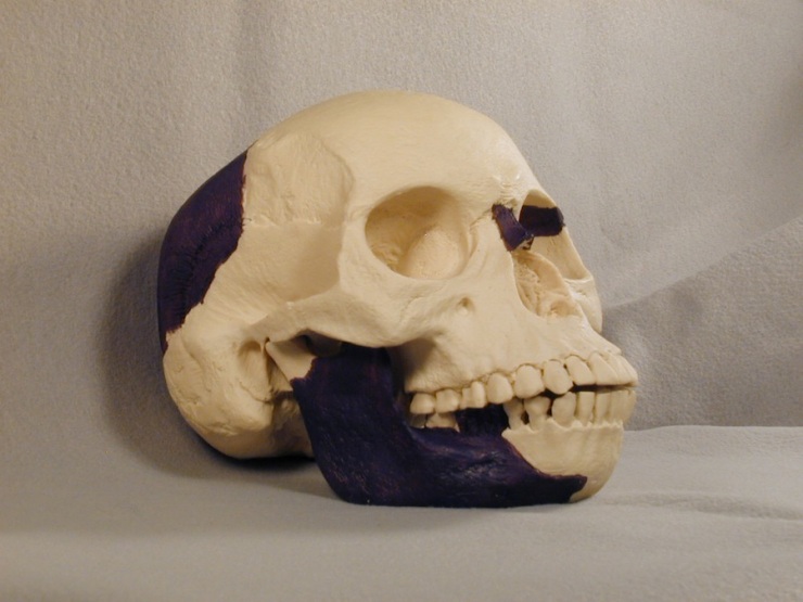 12 самых интересных и забавных мистификаций, устроенных учёными