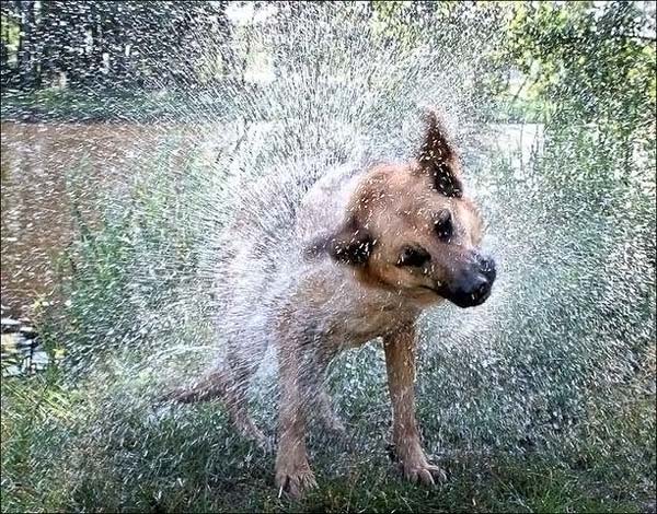 Фотоподборка