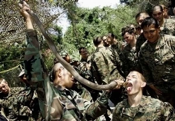 Военные учения ”Cobra Gold 2010 ” в Тайланде (24 фото)