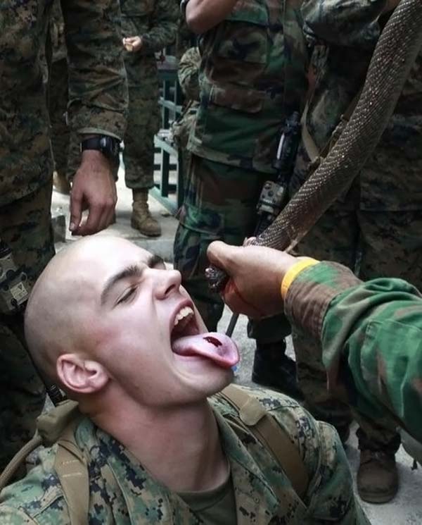 Военные учения ”Cobra Gold 2010 ” в Тайланде (24 фото)