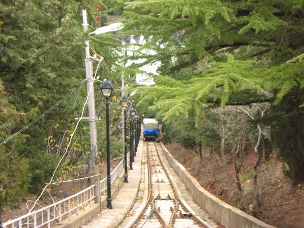 Троллейбусы в Грузии (25 фото)