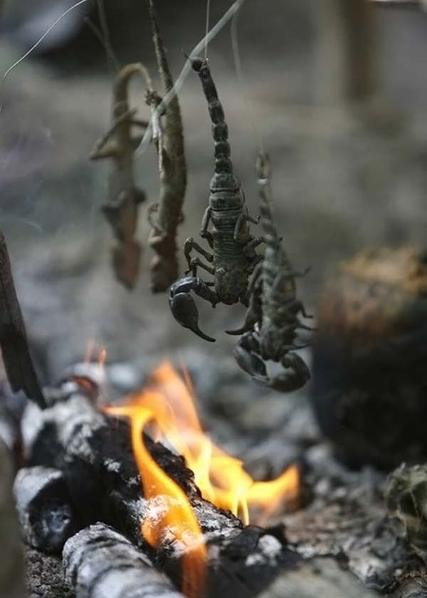 Военные учения ”Cobra Gold 2010 ” в Тайланде (24 фото)