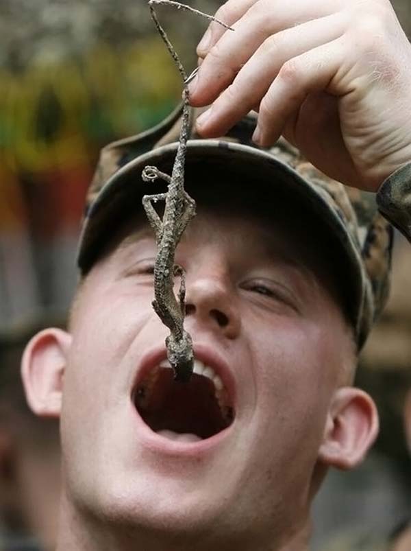 Военные учения ”Cobra Gold 2010 ” в Тайланде (24 фото)